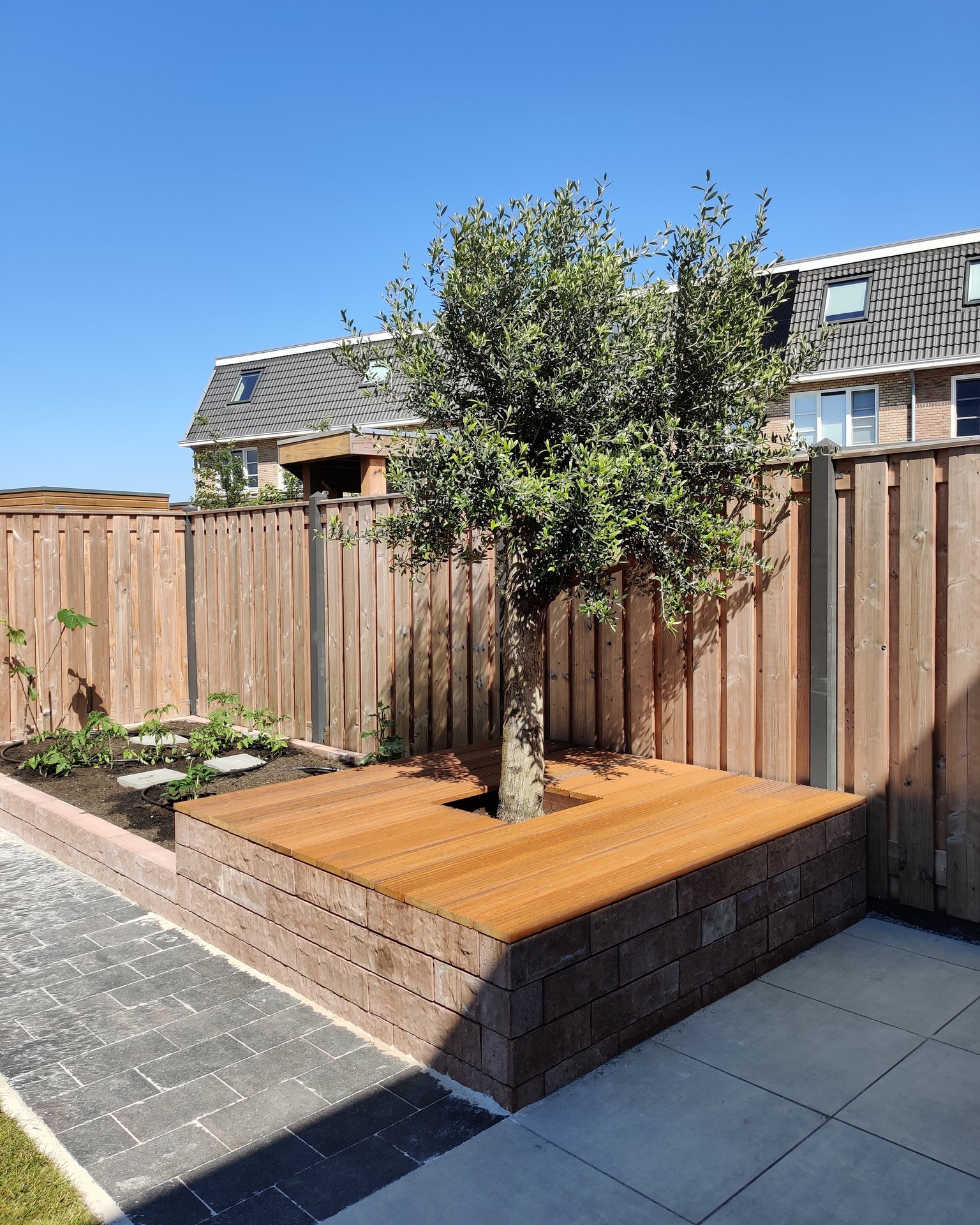 b&g landscaping project 7