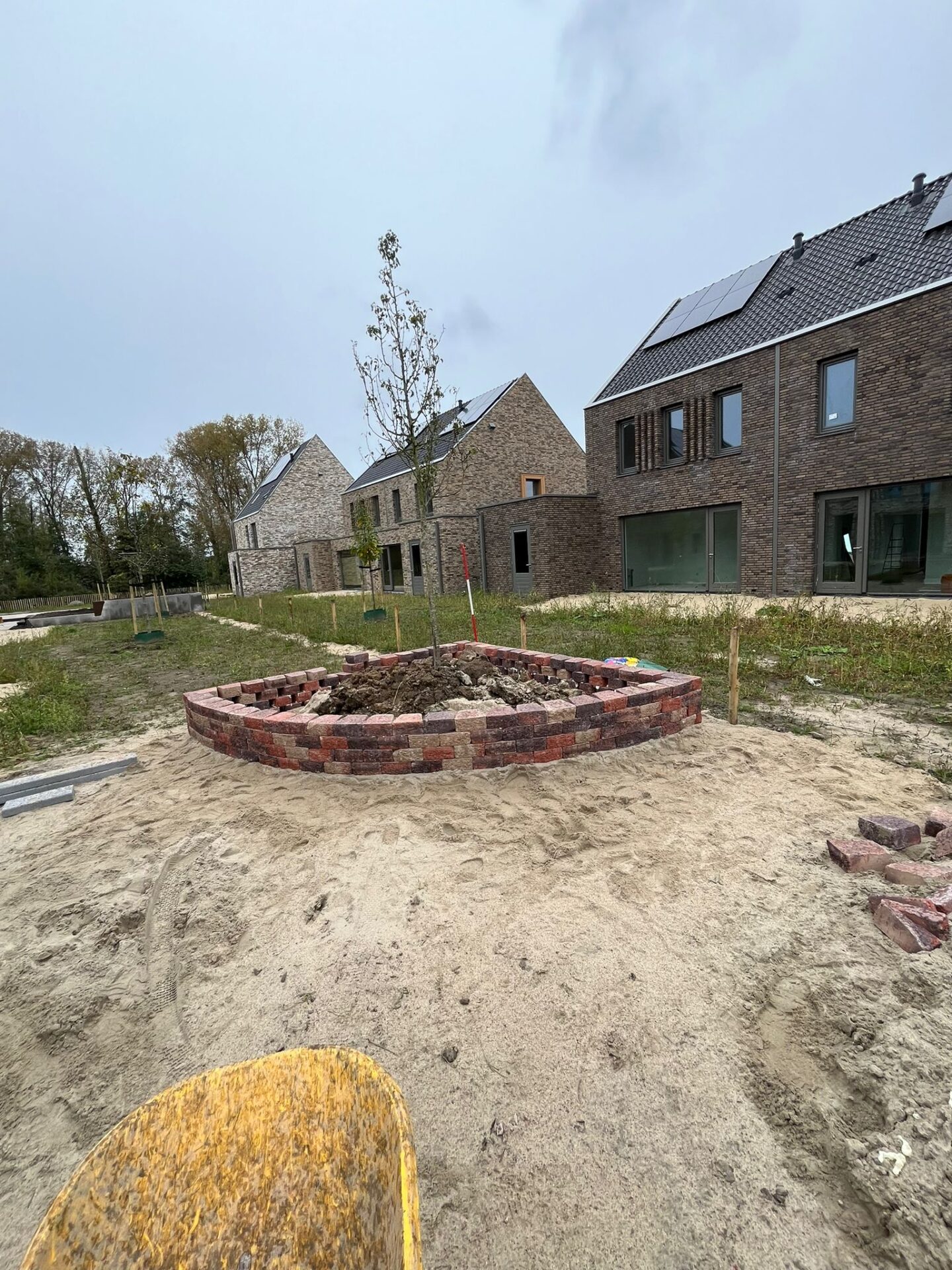 whatsapp image 2024 10 09 at 16.55.34