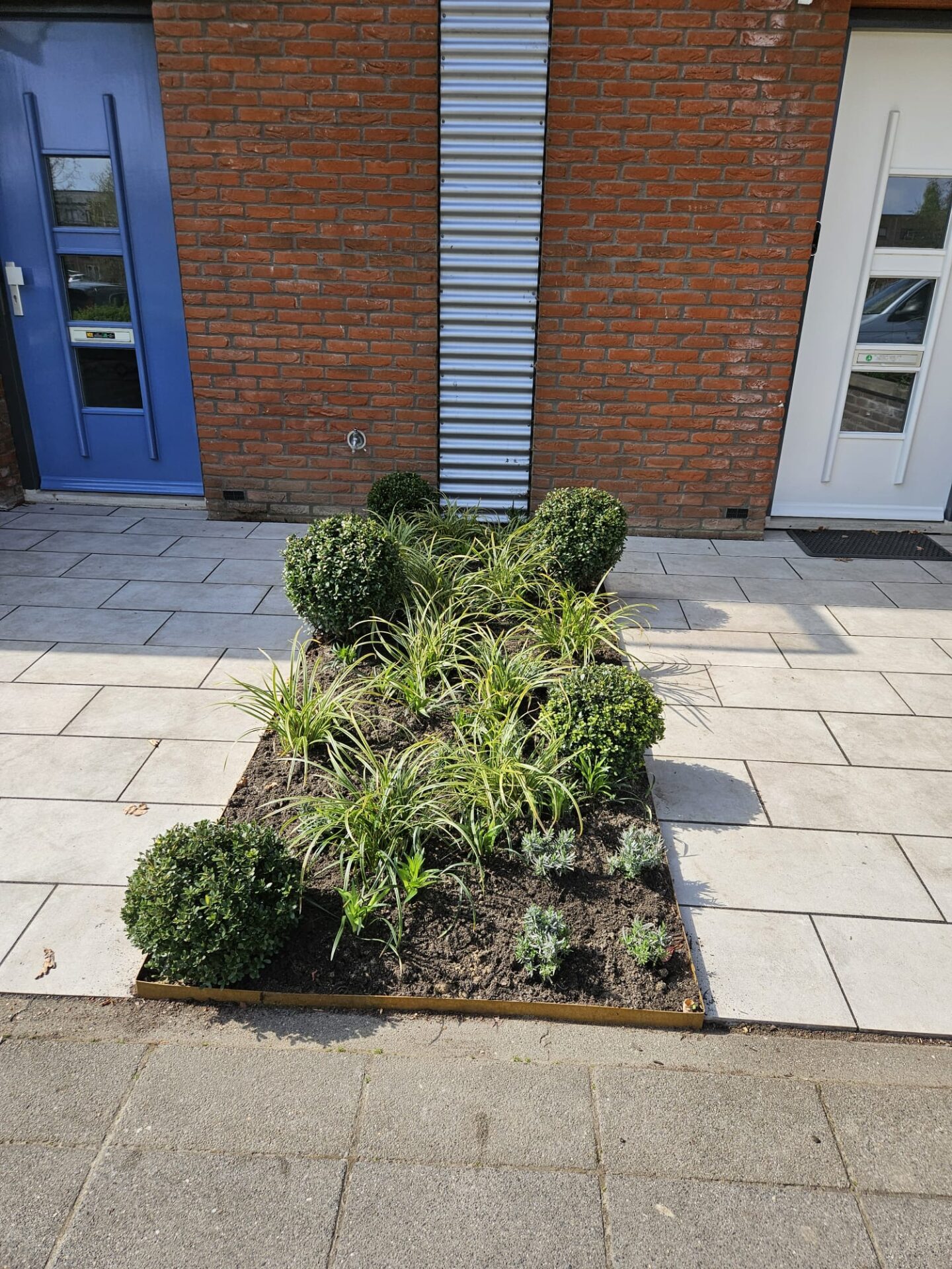 aanplanten beplanting