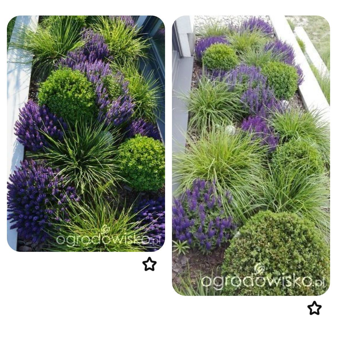 aanplanten beplanting inspiratie